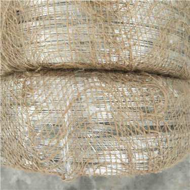 IMG_20190517_093737.jpg IMG_20190517_093737.jpg