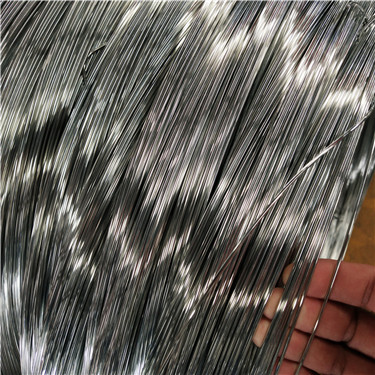 IMG_20180704_095548.jpg IMG_20180704_095548.jpg